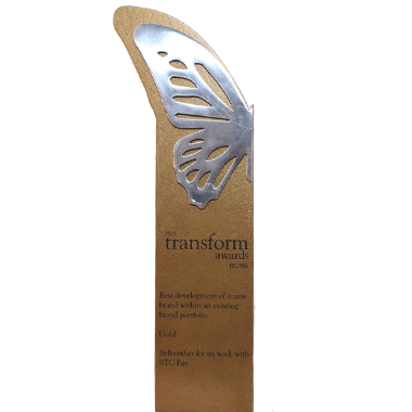 Best development of a new brand within an existing brand portfolio